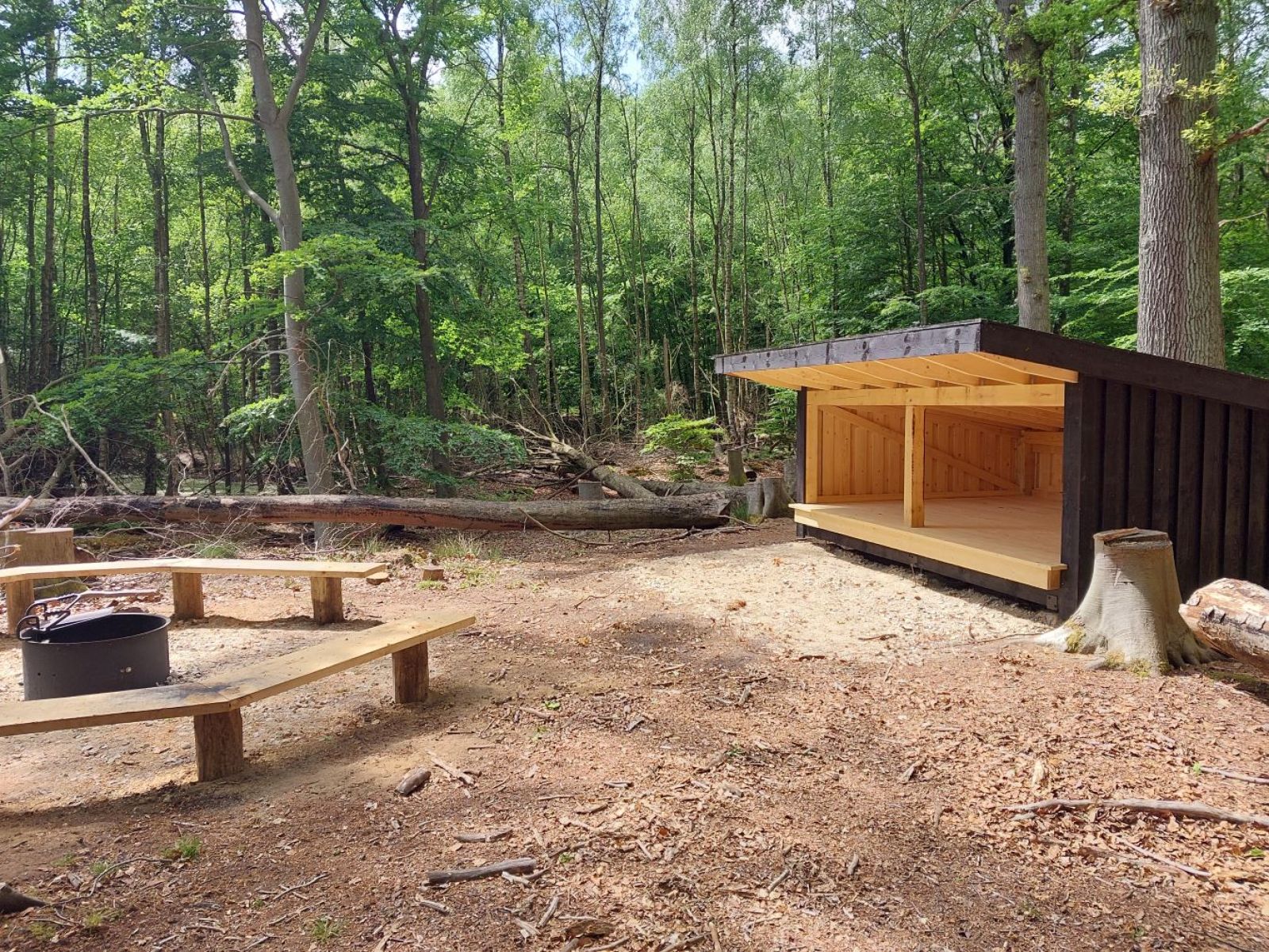 Jægersborg Hegn, Shelter "Den Hemmelige" – miniature 5