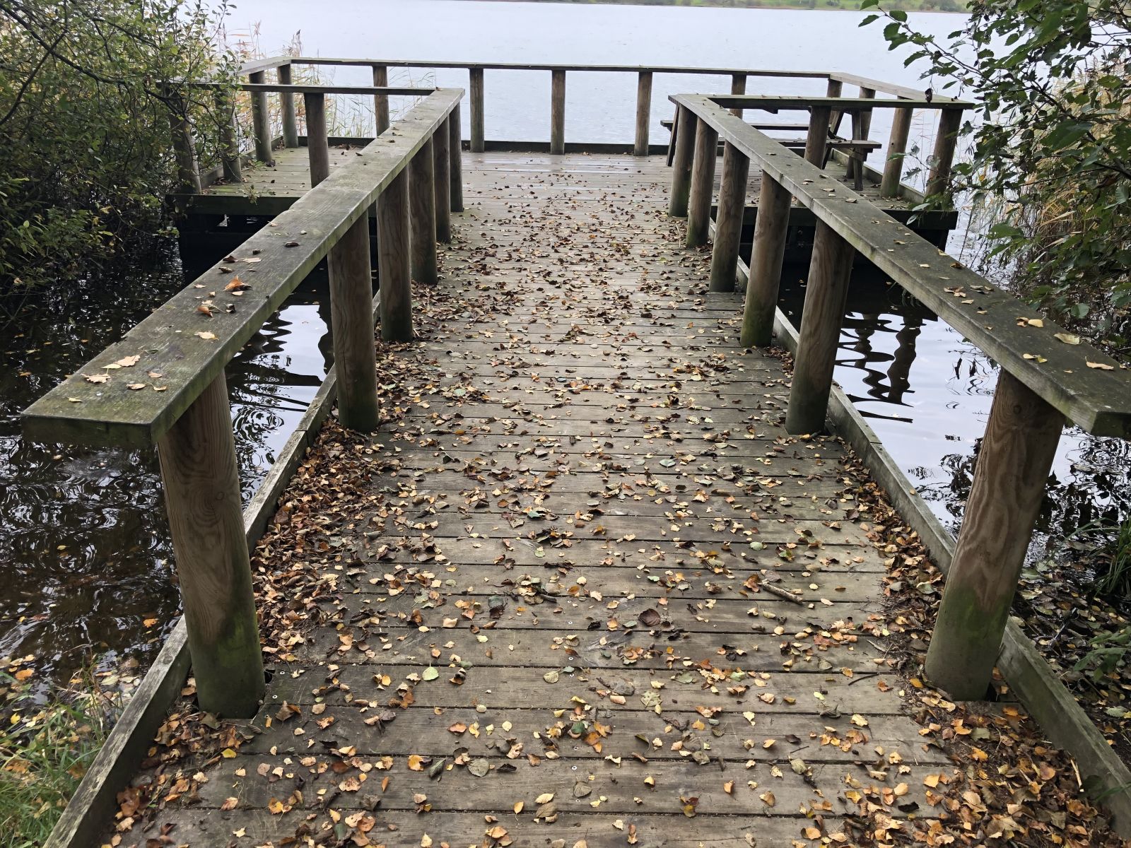 Hinge søbad fiskebro