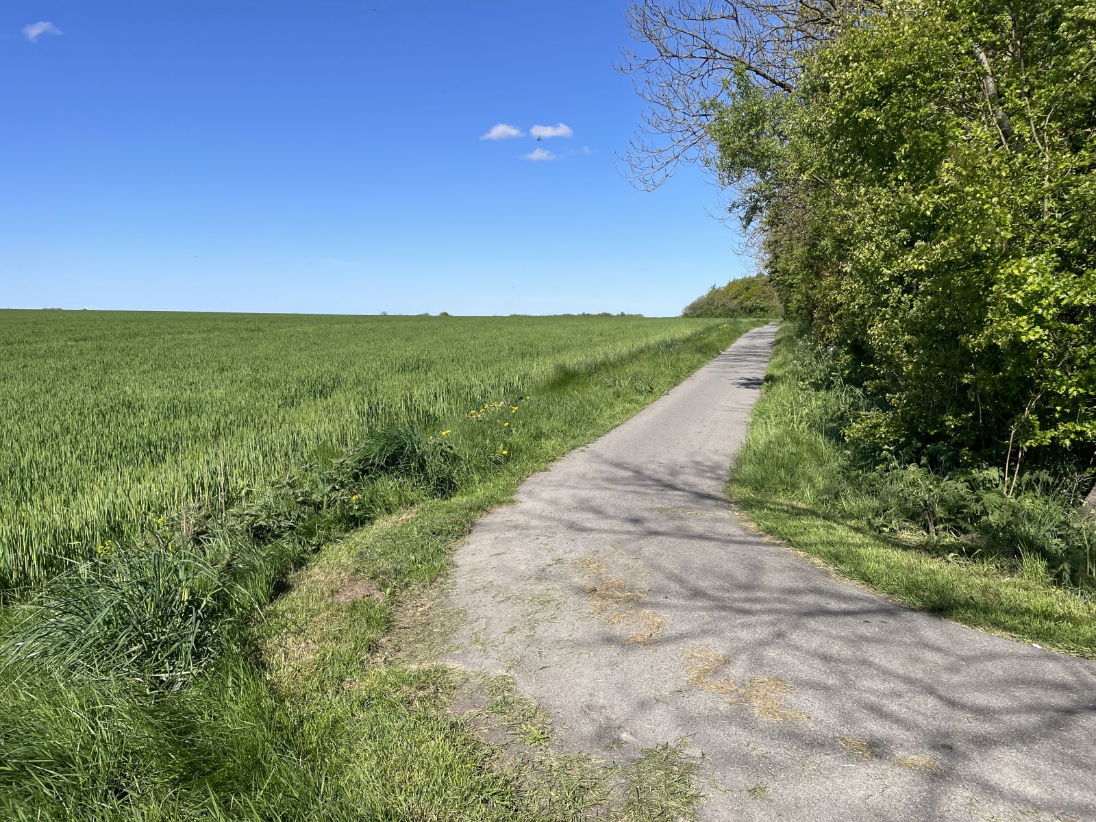 Vestsallingstien