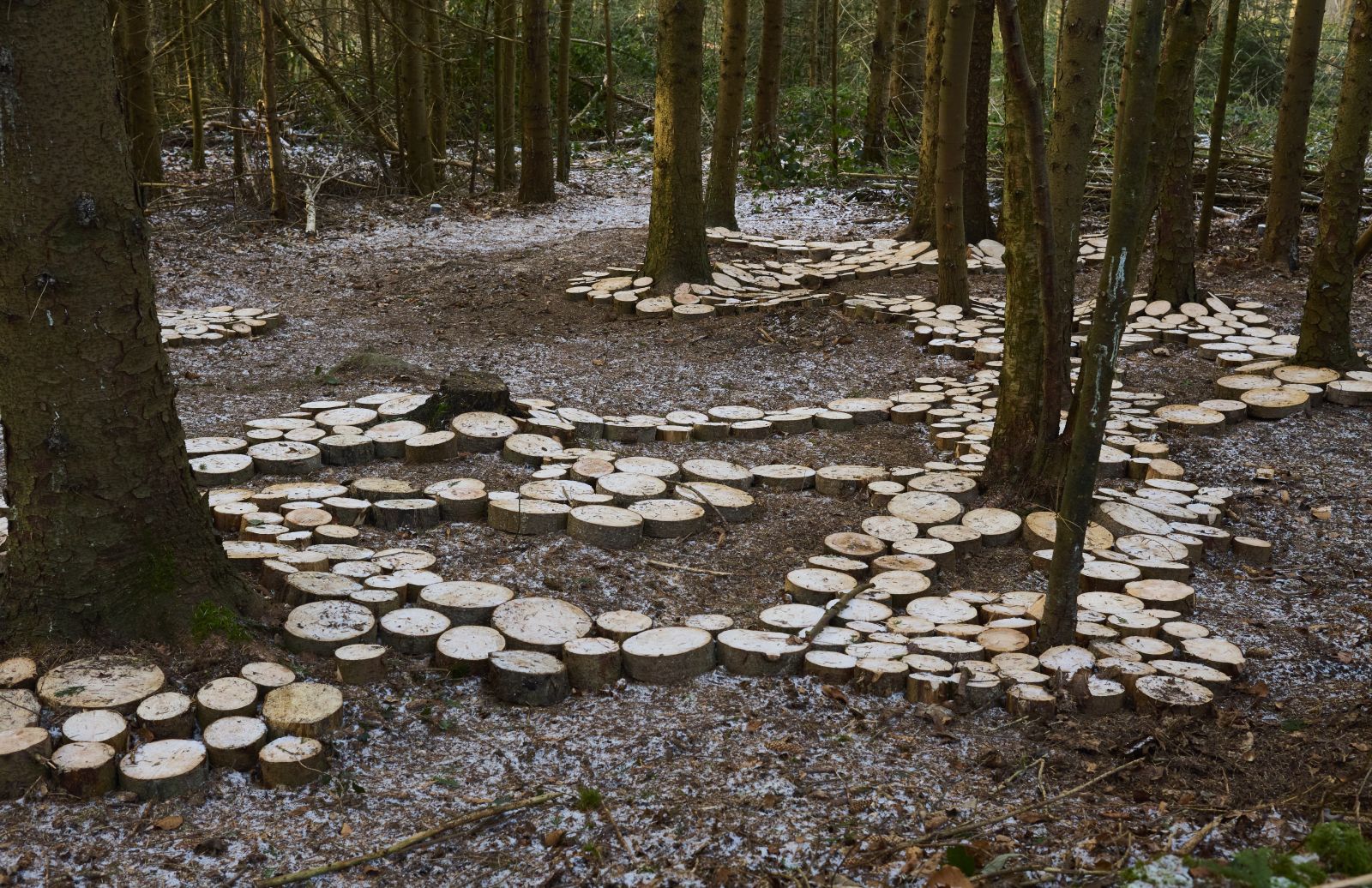 Kunstruten i Pipstorn Skov