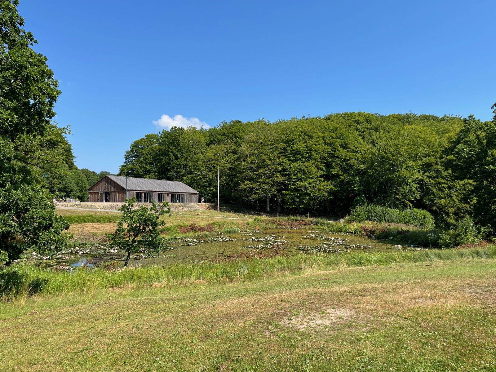Tolne Skovpavillon og sø. Underlag er græs. 