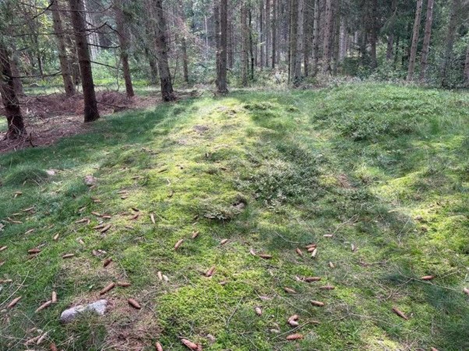 Skibssætning