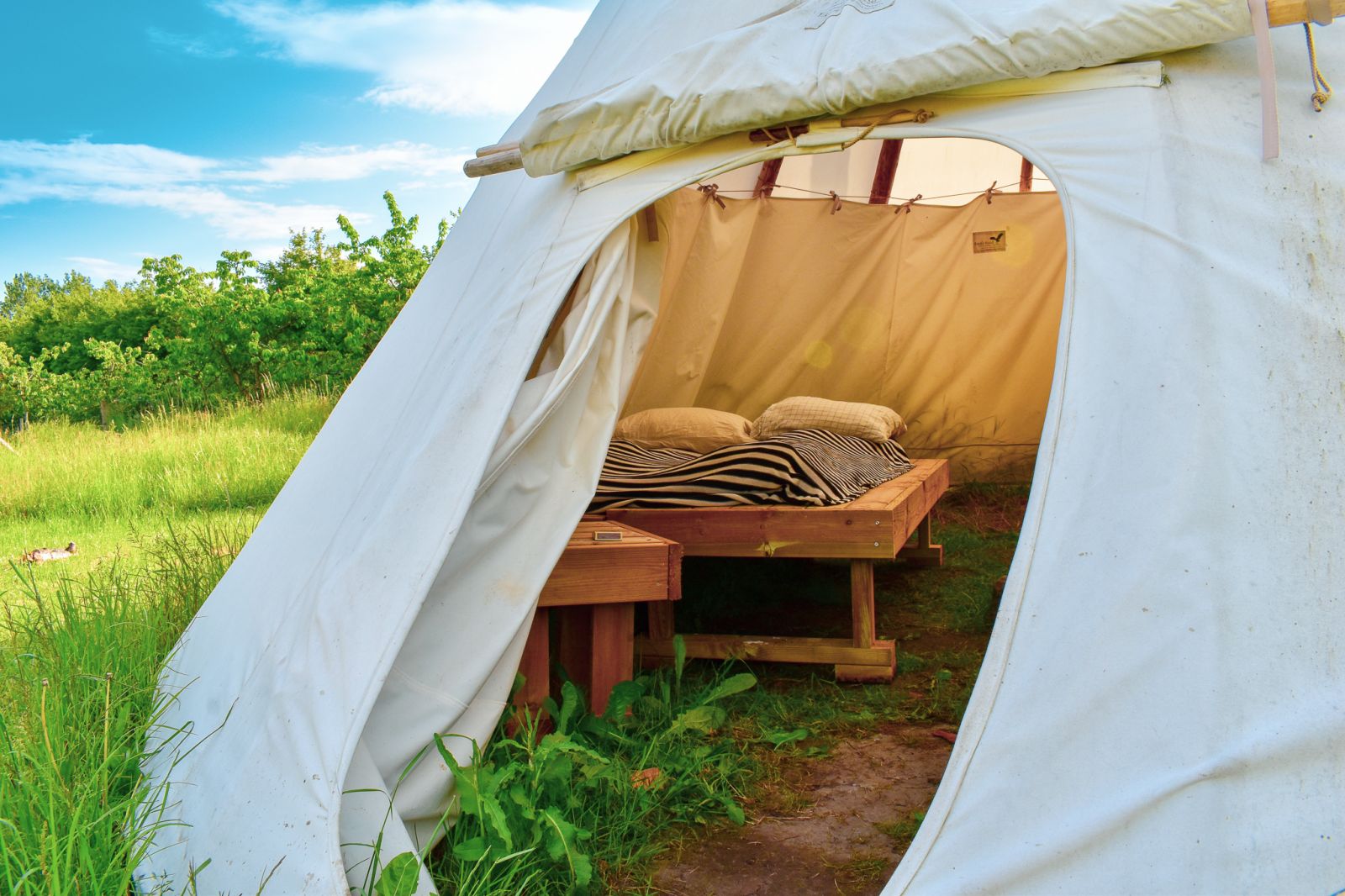 Tipi og shelters i frugtplantagen – miniature 7