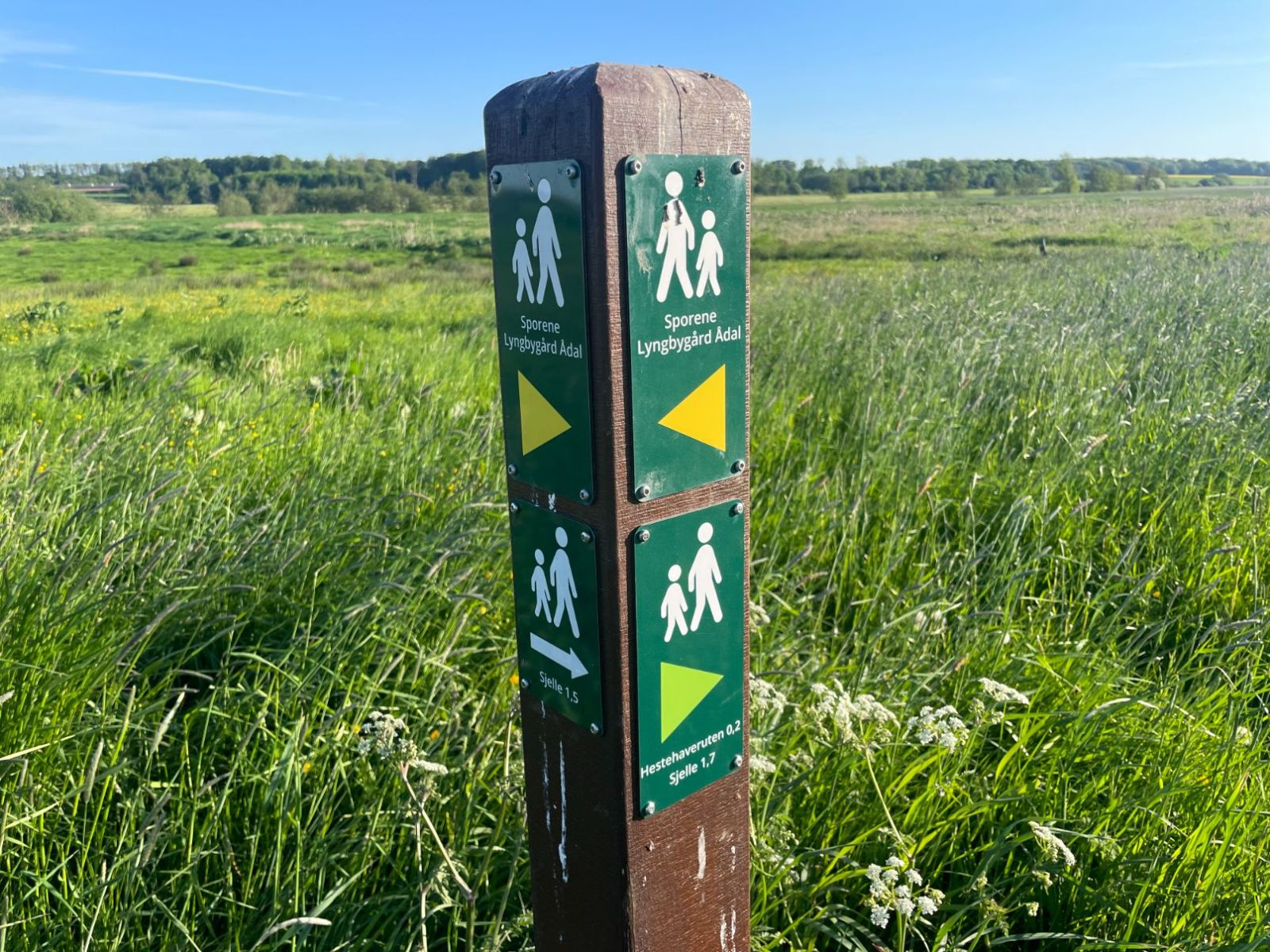 I Lyngbygård ådal er der forbindelse til Hestehaveruten