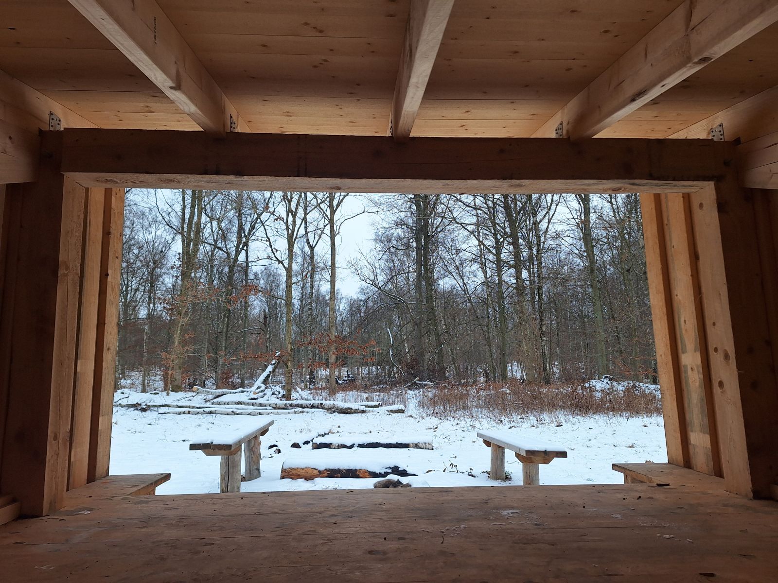 Billedet viser udsigten fra indgangen til et shelter. Her ses et lille bålsted med en bænk på hver side. Der ligger sne og baggrunden fortsætter i løvskov.
