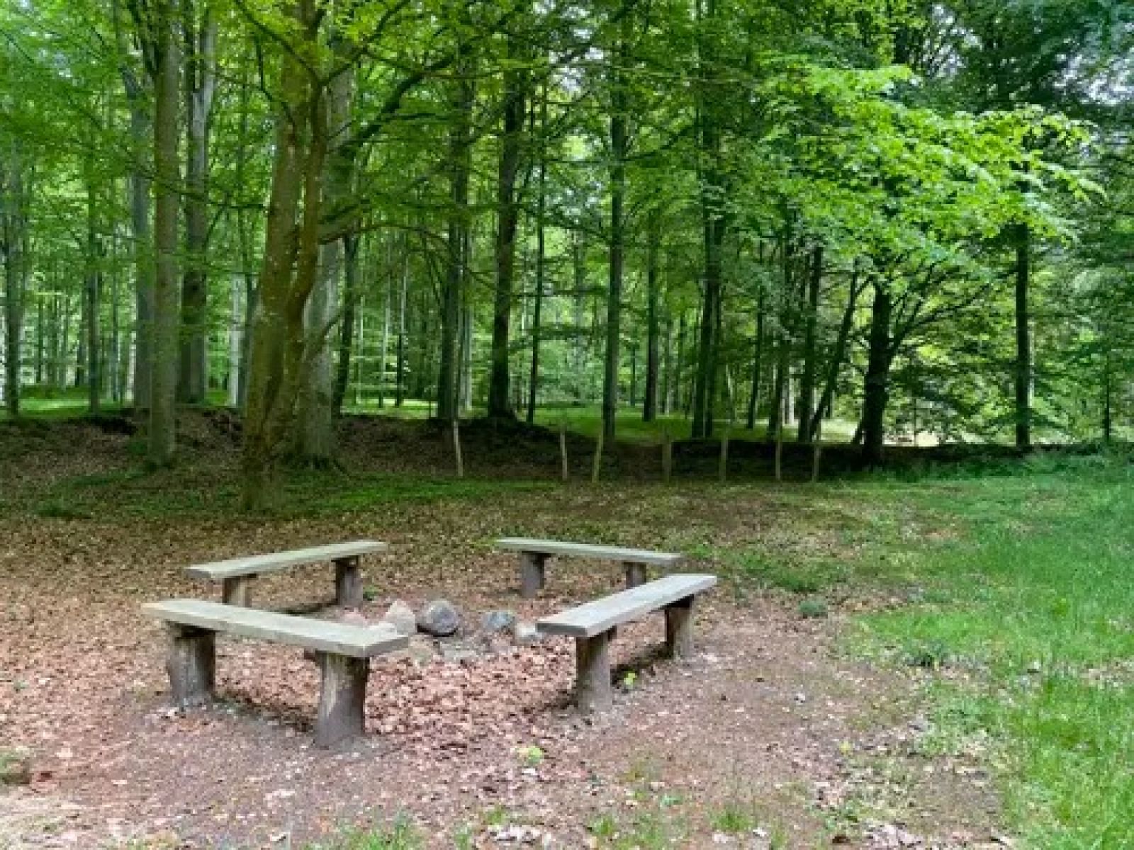 Billedet viser en lille bålsted omkranset af fire bænke. I baggrunden starter skoven og under de første trækroner ses fire sæt pæle á 185 cm til opsætning af hængekøjer.