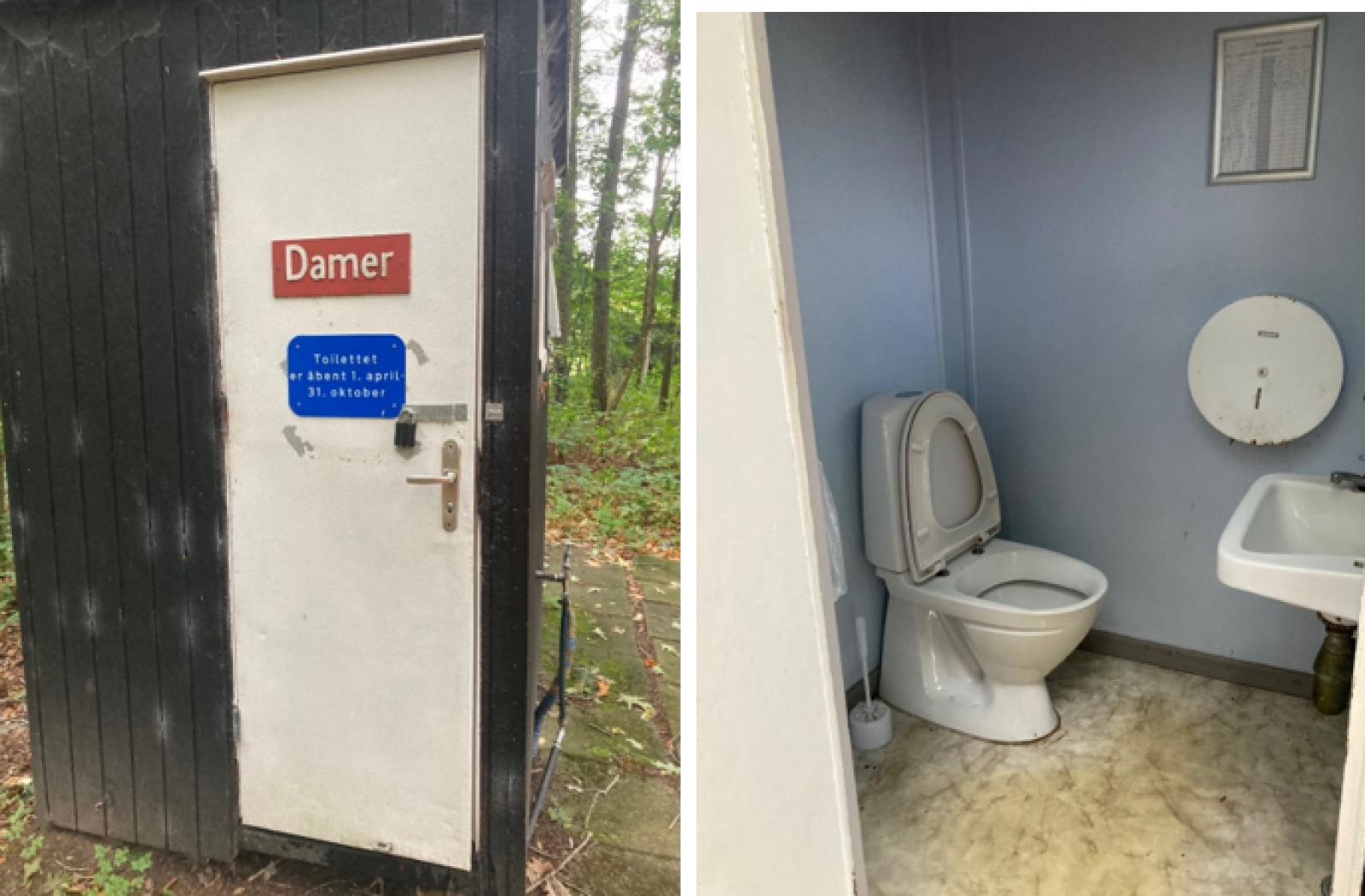 Toilettet står på Nellikevej op mod skoven bag en hæk