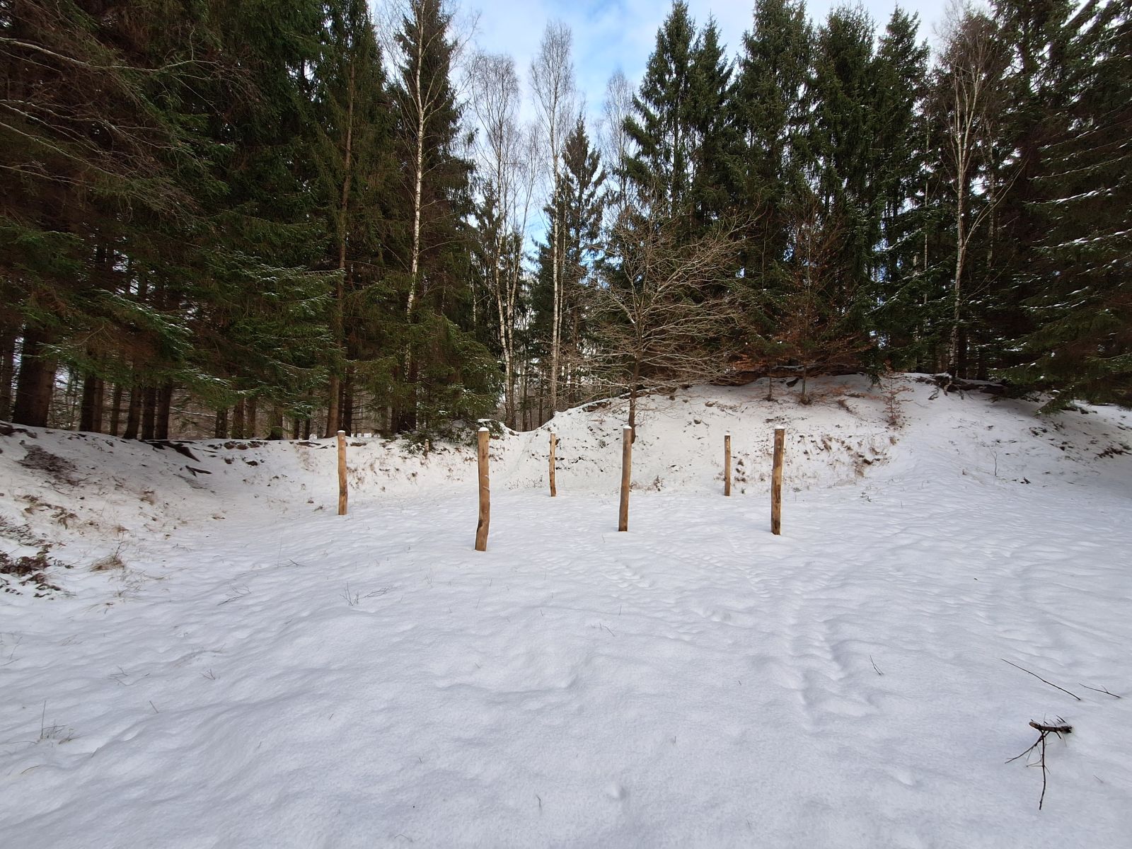 Billedet viser tre sæt 2 m. høje pæle til opsætning af hængekøjer, placeret ved siden af hinanden med en lille vinkel. I baggrunden ses høje grantræer og på selve pladsen er der lysåbent.