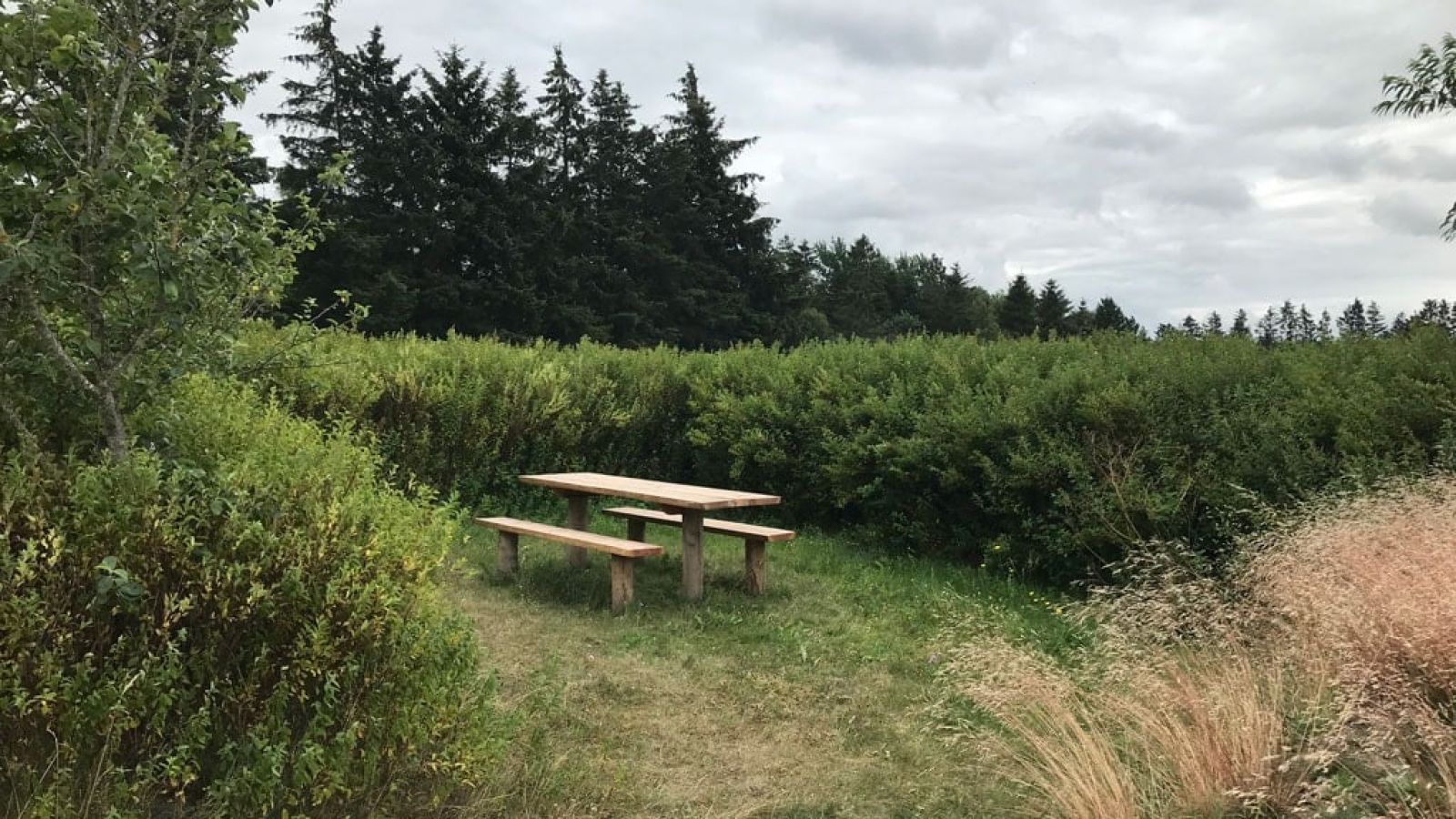 Der findes flere bord/bænkesæt i området