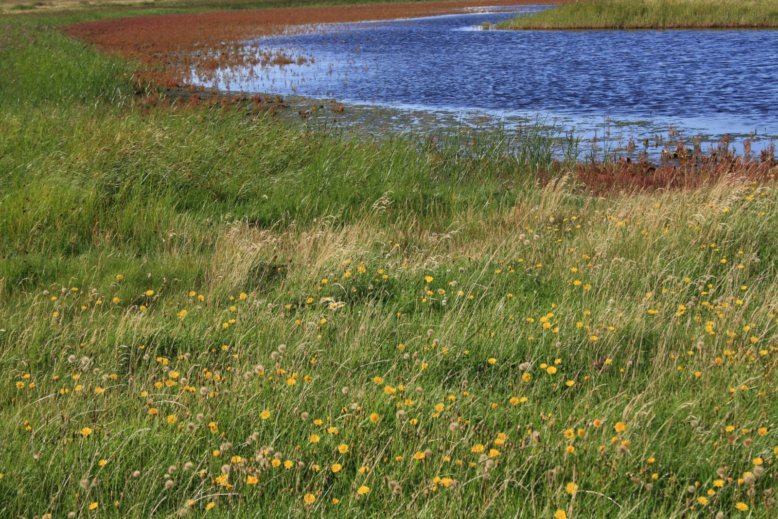 Natursti Oddesund Nord