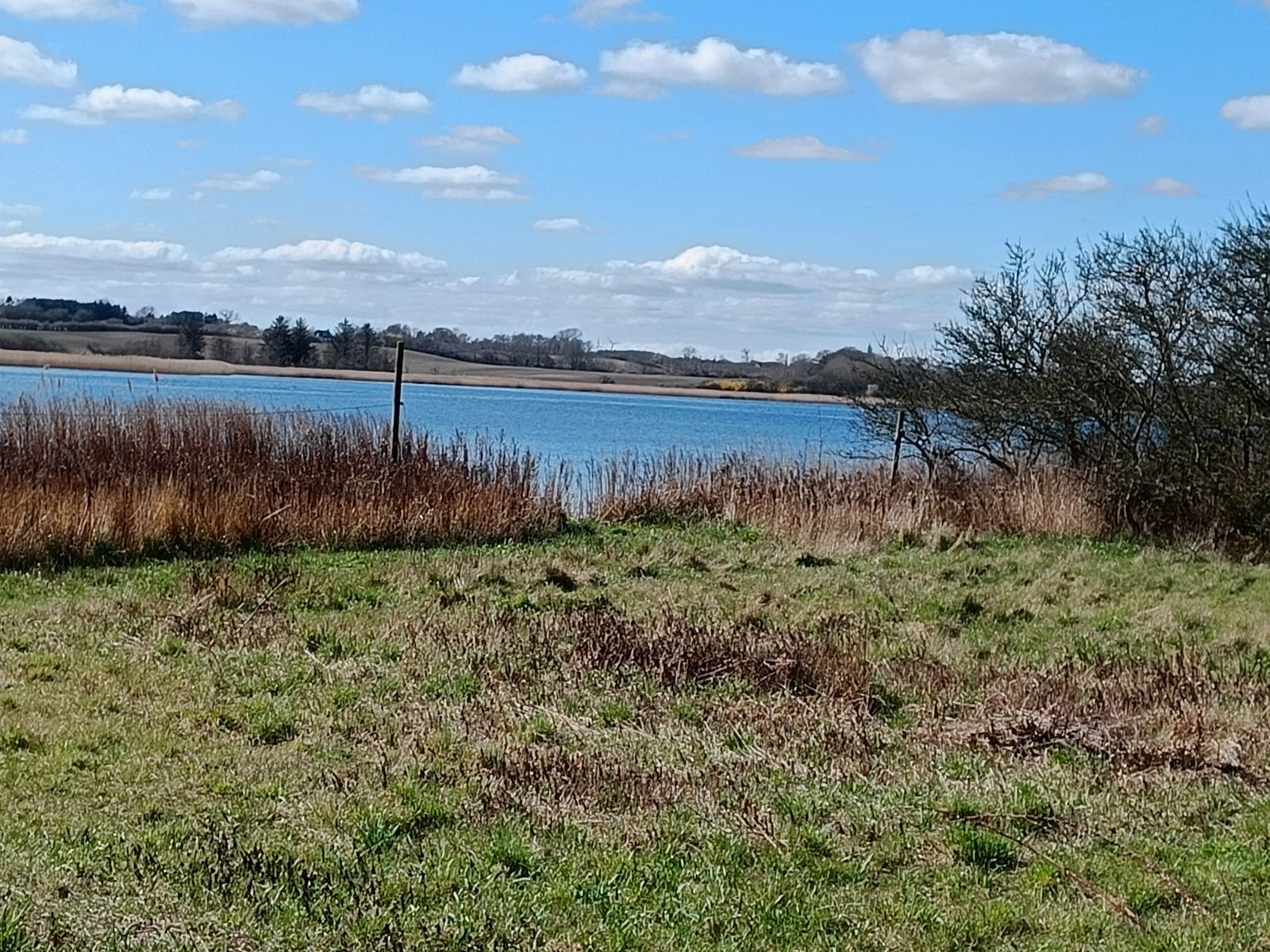 Dyrehavehuse Naturcampingplads                     – miniature 1