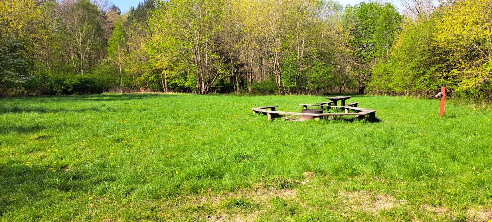 Vestskoven, shelter ved Bymosevej                              – miniature 2