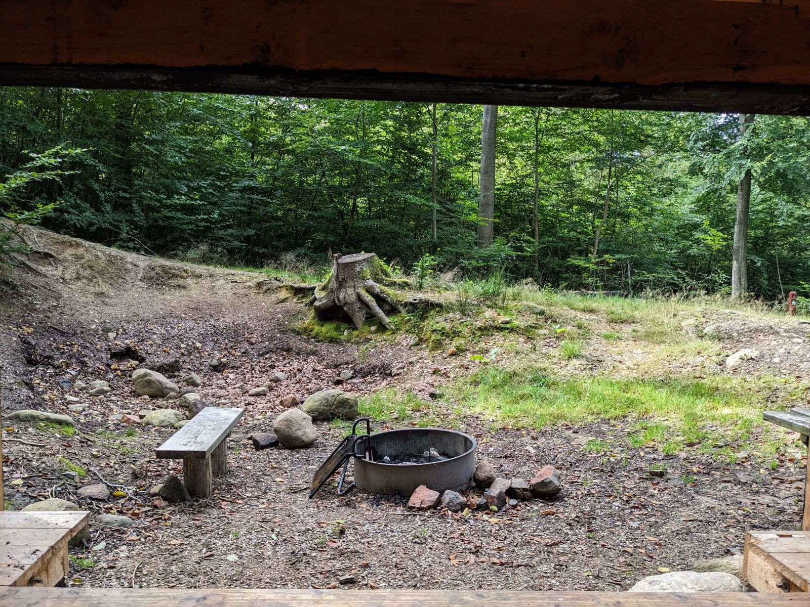 Billedet viser udsigten fra indgangen til et shelter. Her ses bålsted og bordebænkesæt placeret i en gammel grusgrav i bøgeskoven