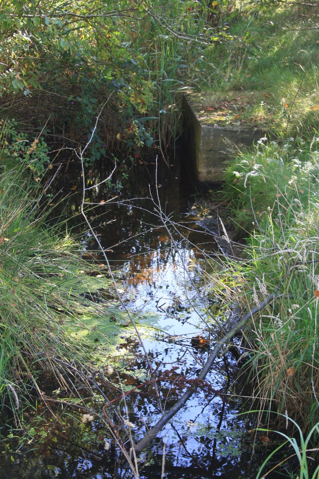Hjertestien Søndbjerg Serup Strand