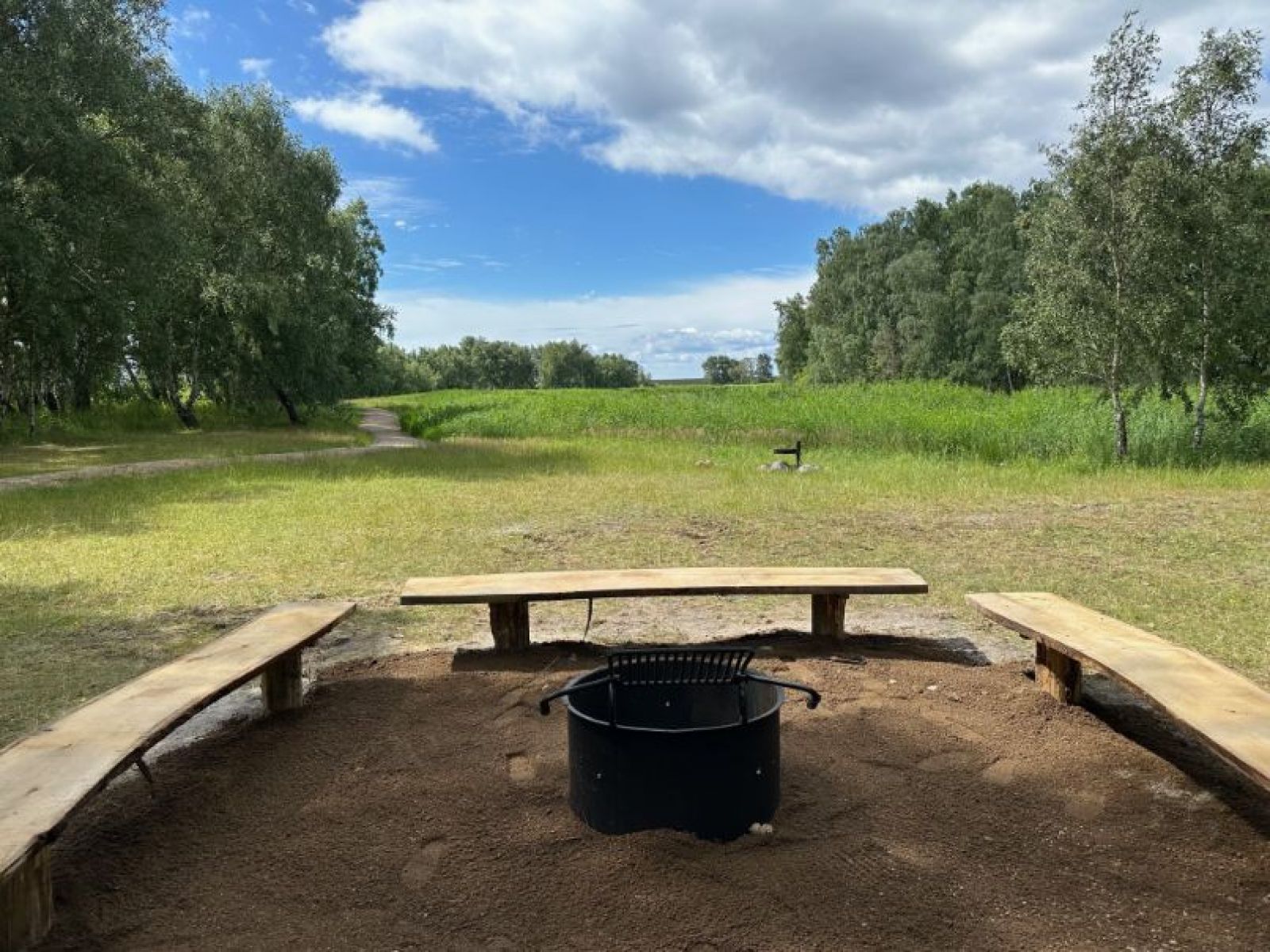 Kalvebod Fælled, Fasanskoven, shelter ved Birkedammen – miniature 3