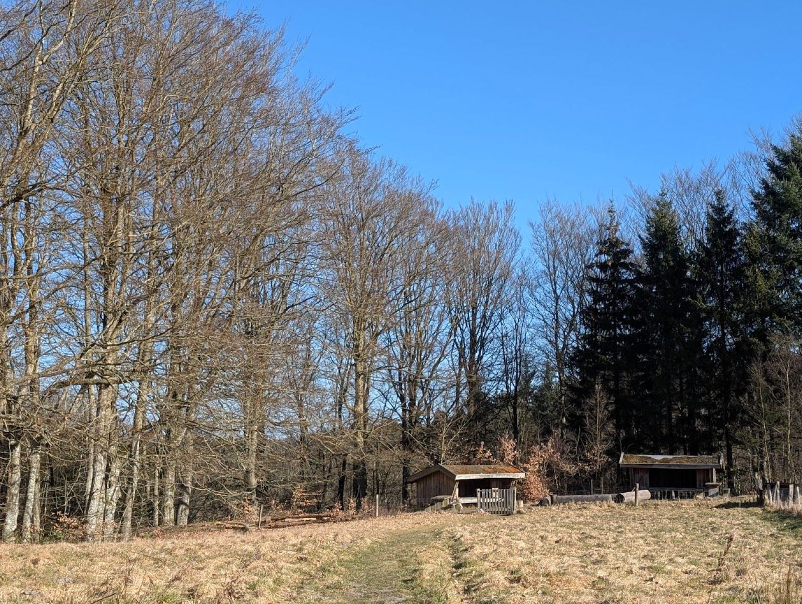 Shelterpladsen ved Høgdal  (shelter 1)                         – miniature 2