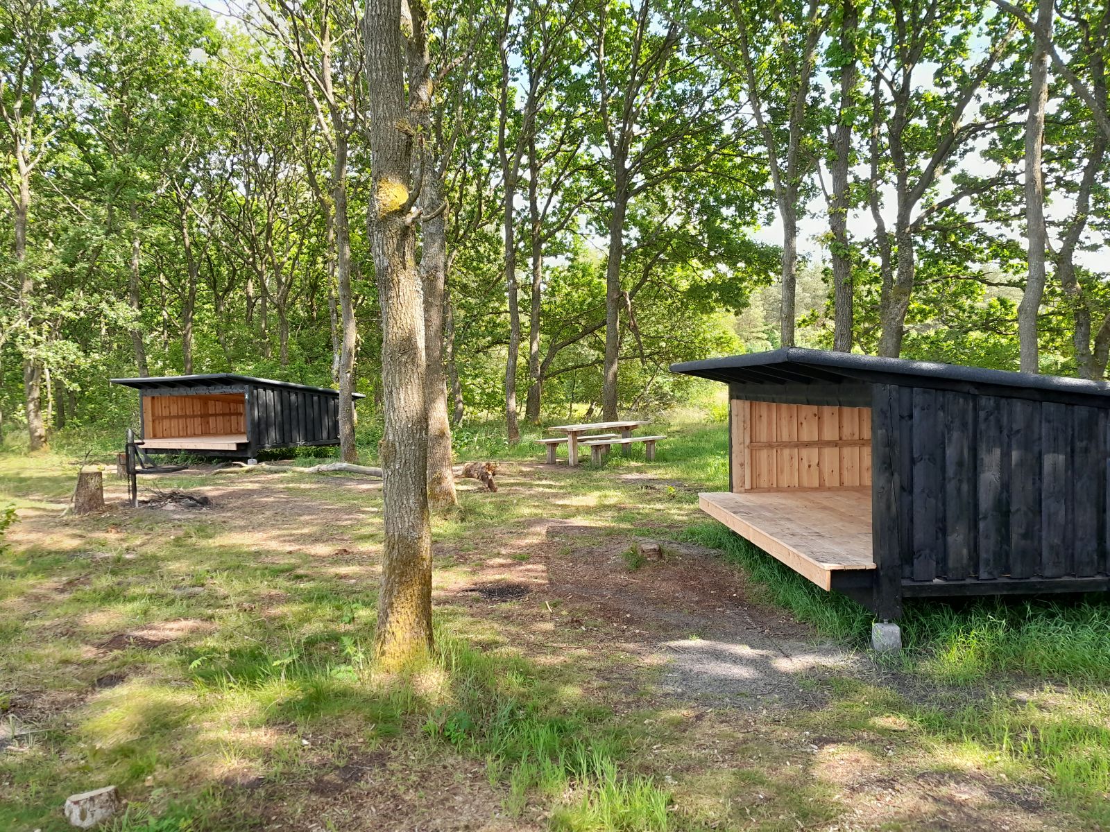 Søby shelterplads - Shelter 2 – miniature 3