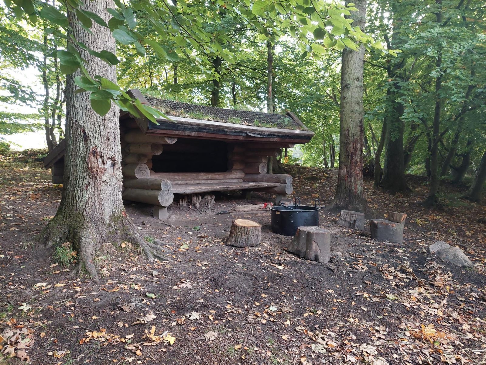 Uggeløse Skov nord, shelter – miniature 4