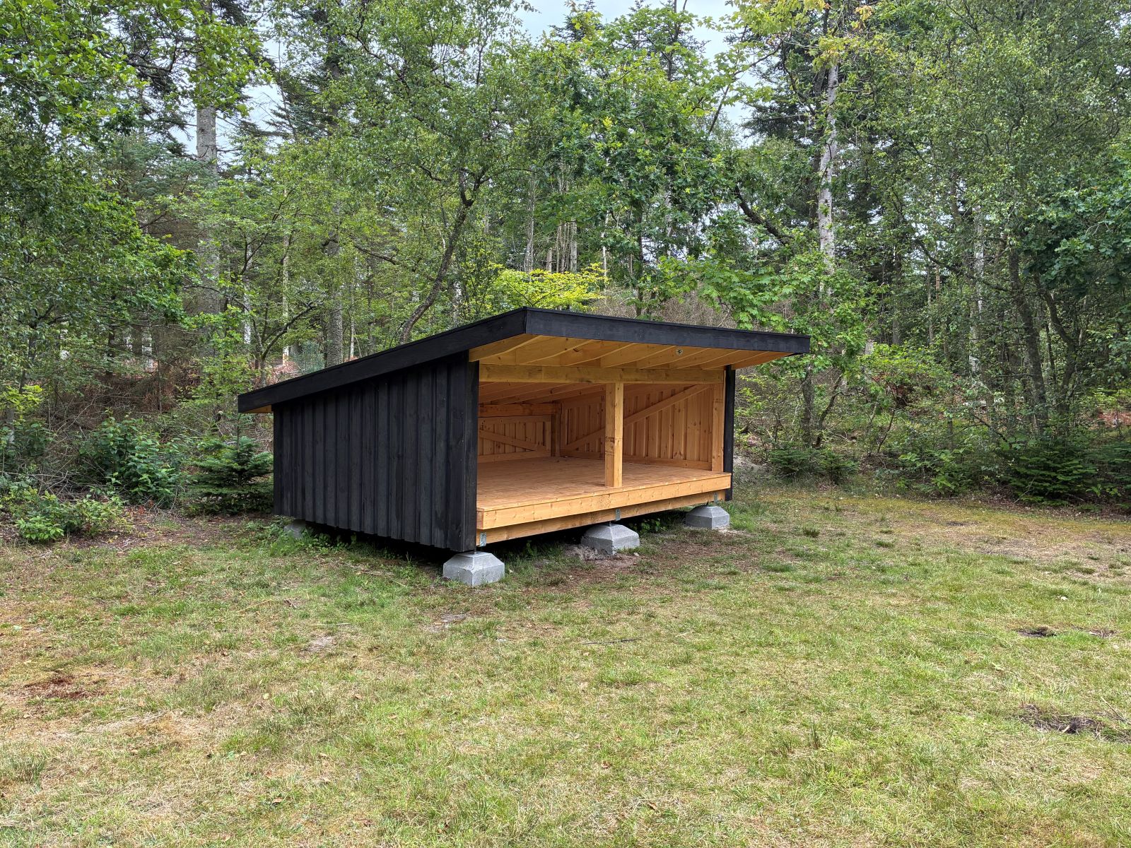 shelter