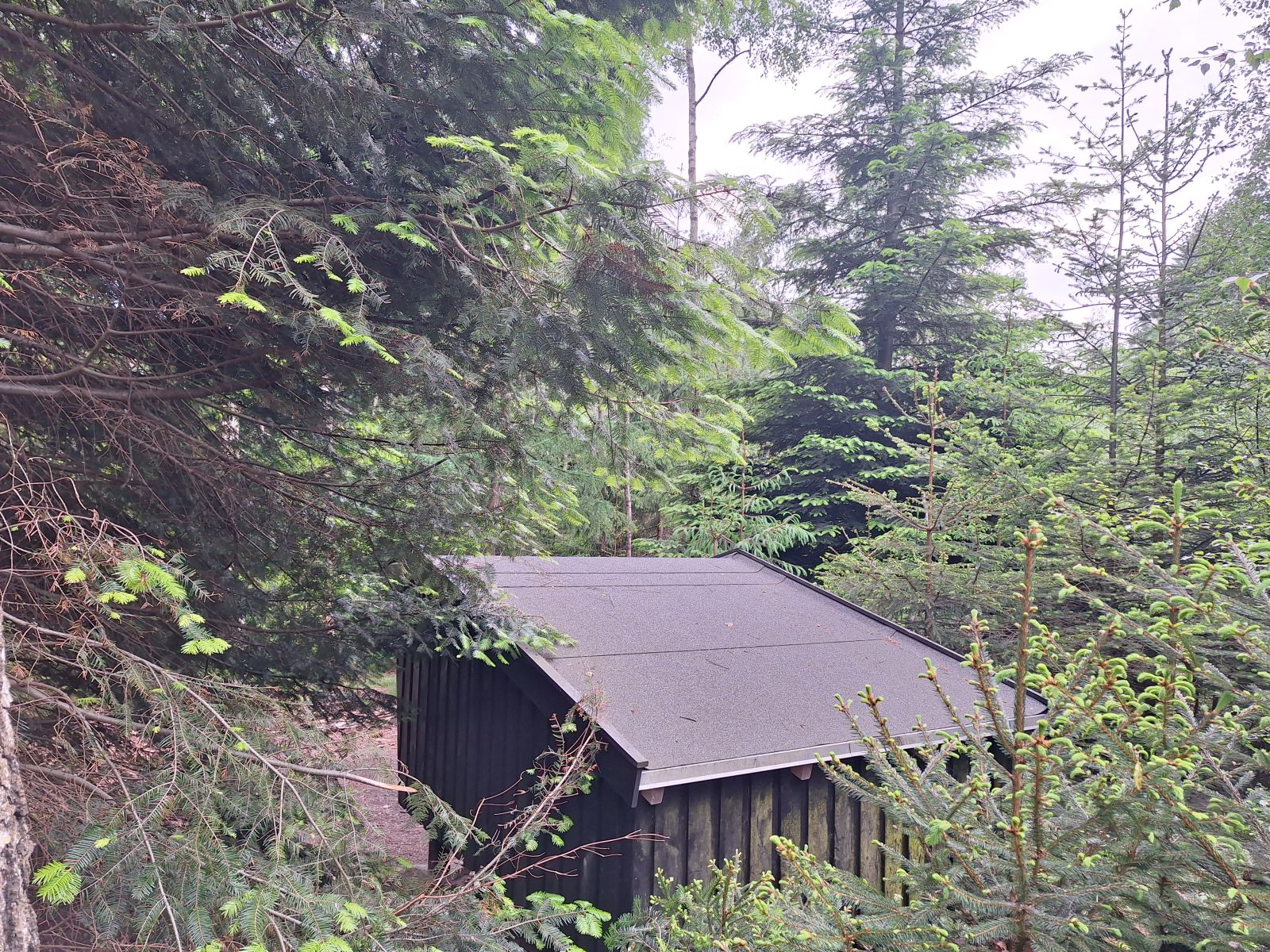 Shelter