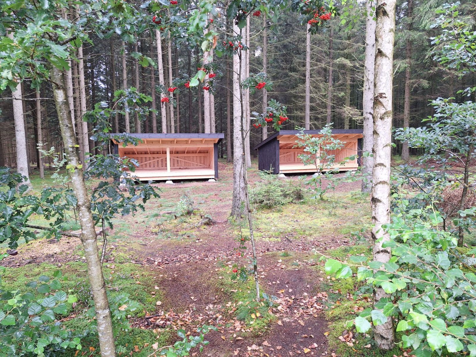 Shelterplads ved Tinkerdal besøgssted - shelter 1 – miniature 3
