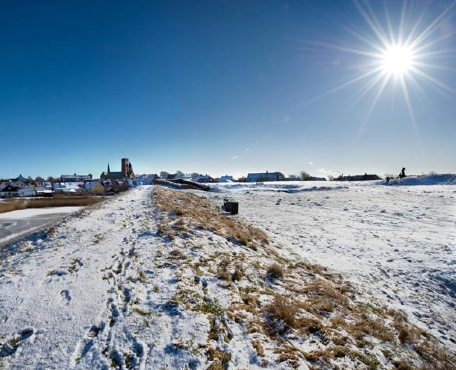 Ribes korte grønne energisti