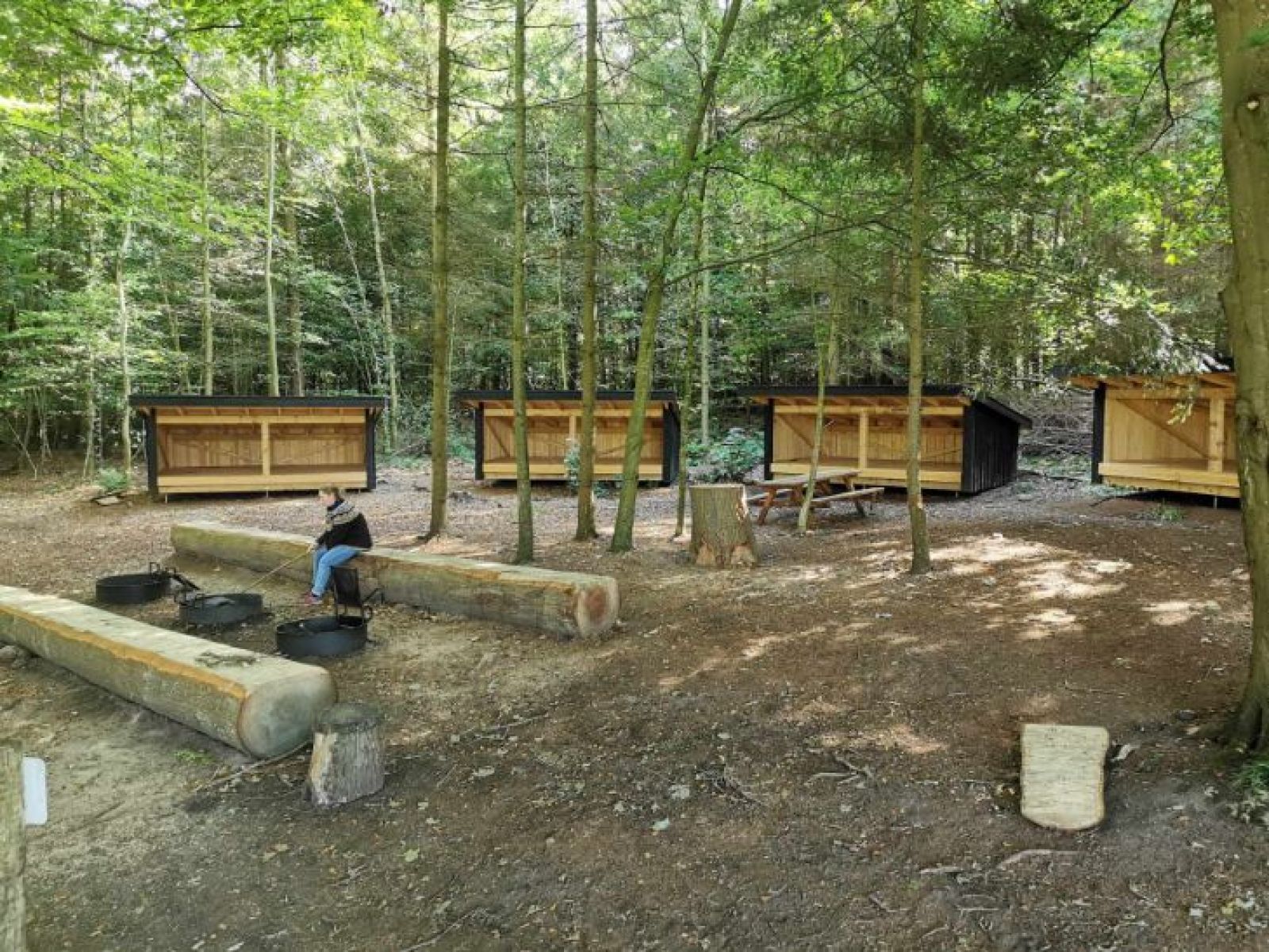 Shelter 3 - Sollerup Skov – miniature 2