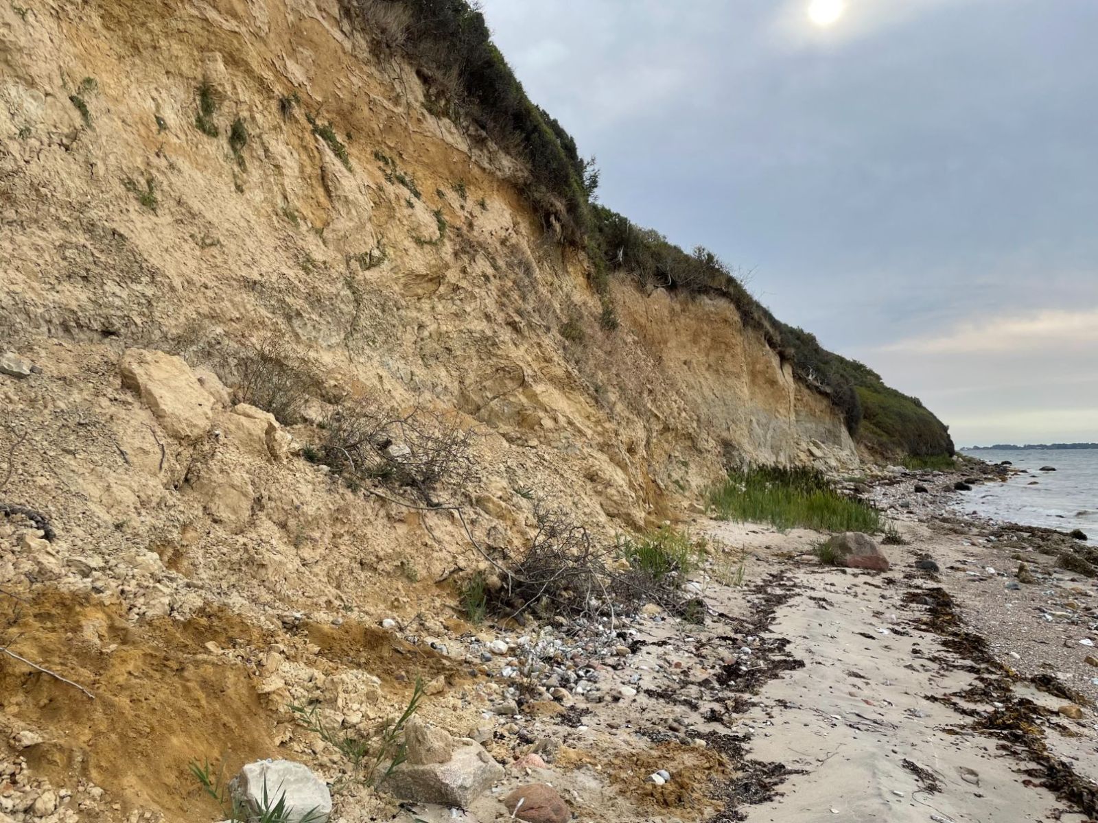 Klinten på det stykke af stranden du kan gå