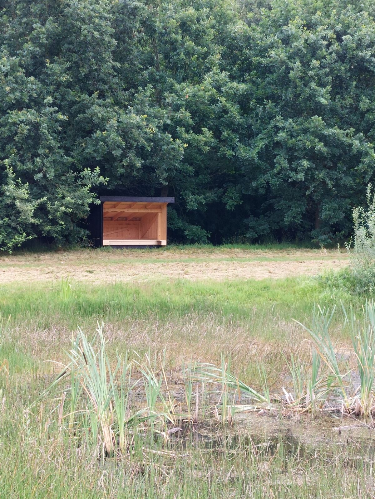 Mini Shelter