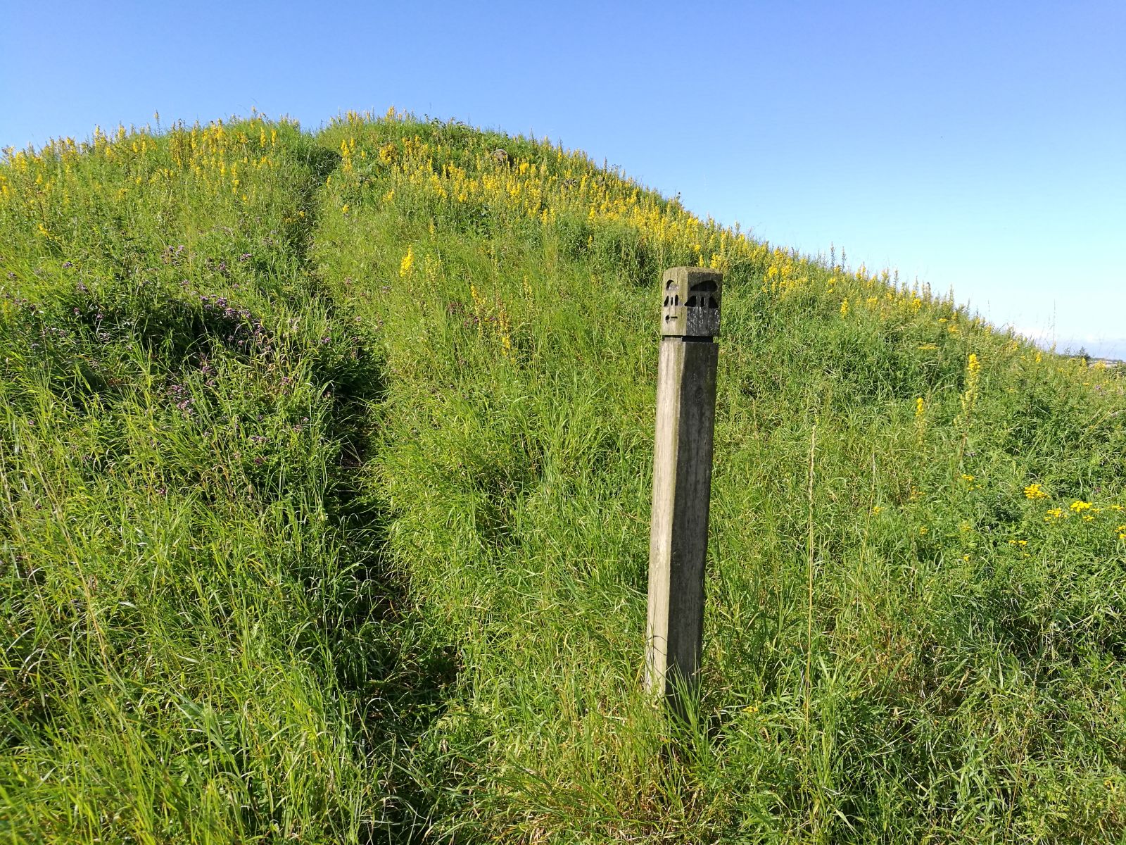 Duereds Vænge. Fortidsminde. 