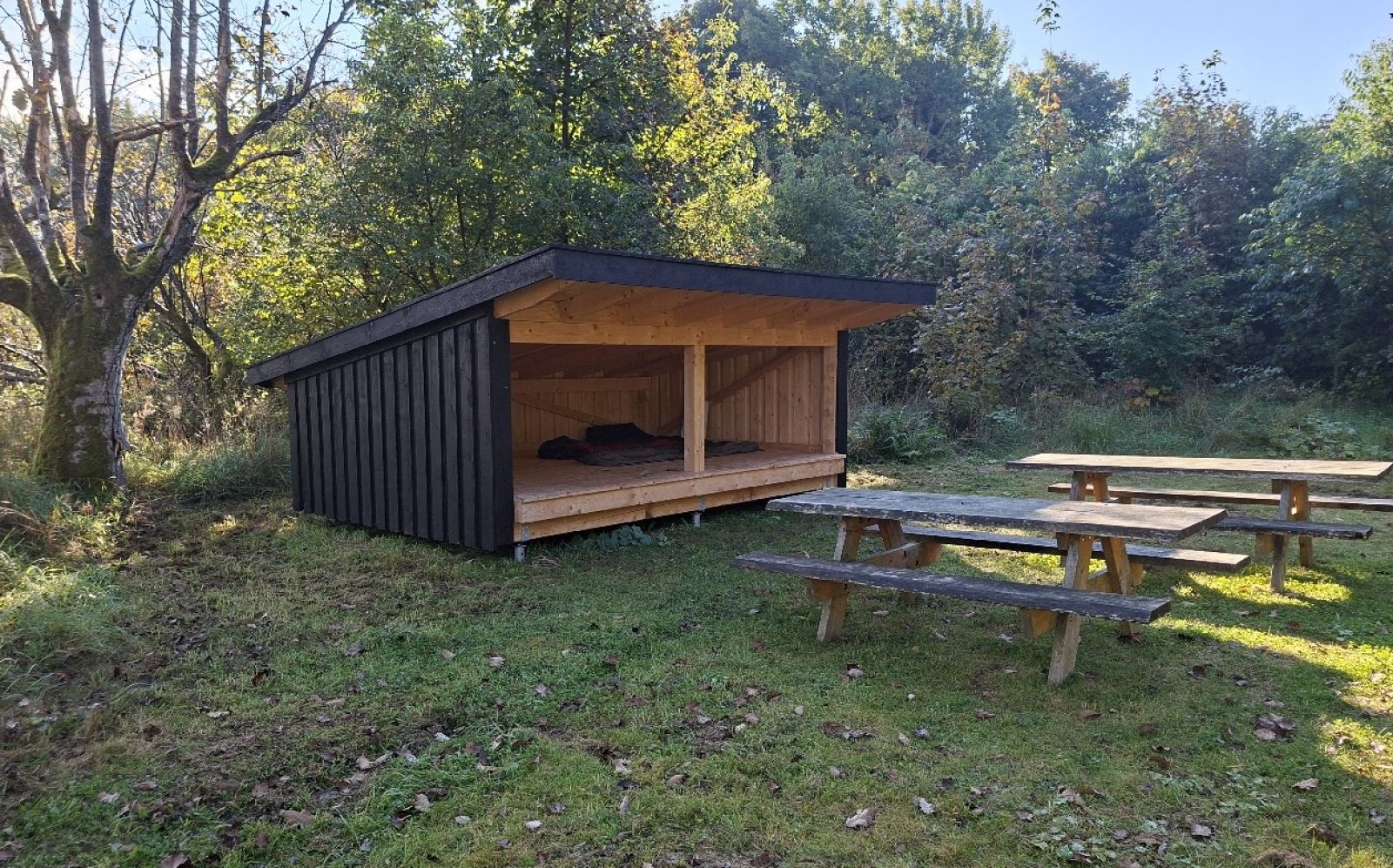 Shelter i Hvinningdal skov