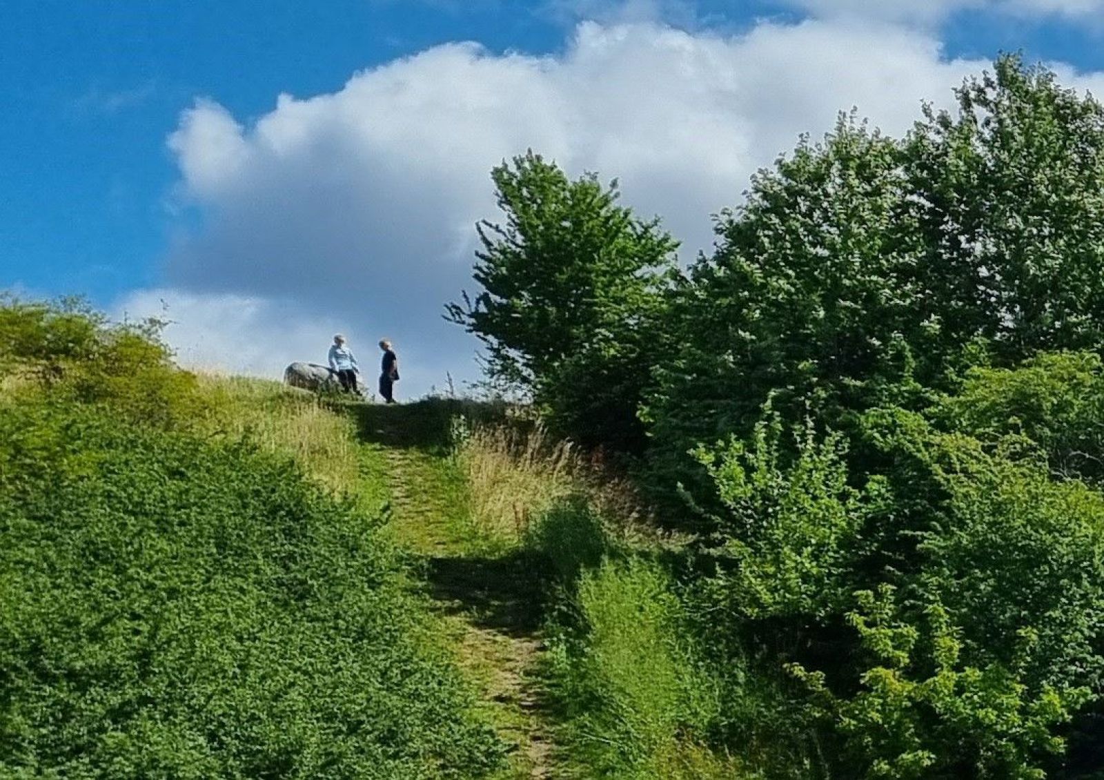 Mennesker på toppen af bjerget