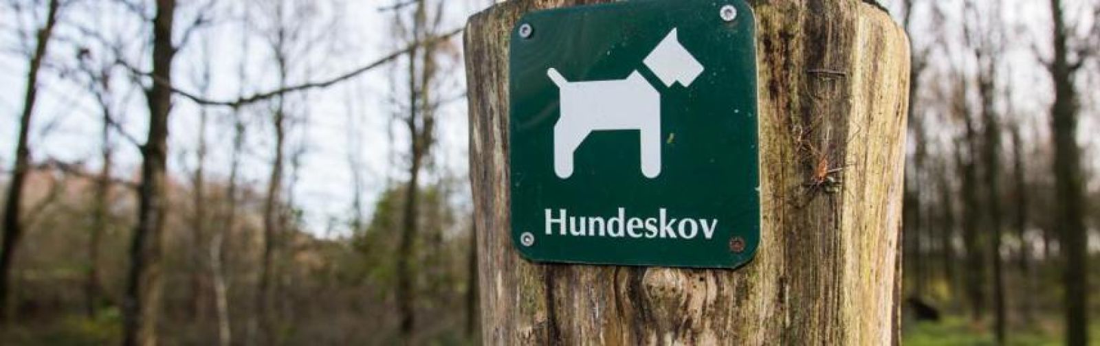 Hundeskov ved Egedal Skov