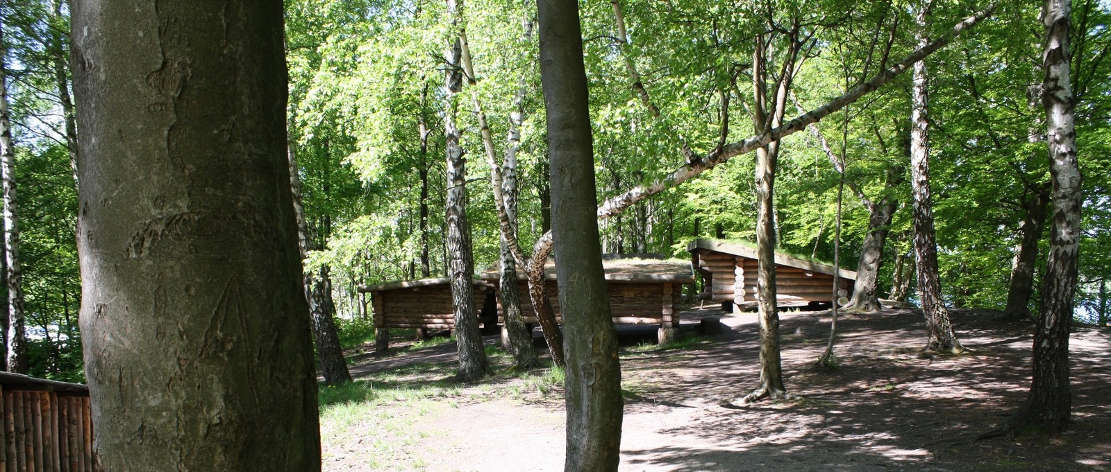 Nørreskoven, Fiskebæk Naturskole                   – miniature 2