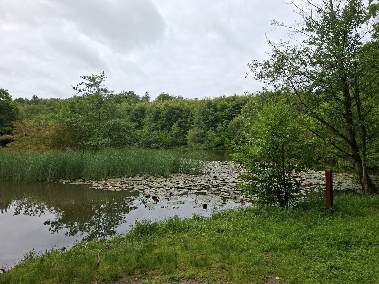 Udsigt til Latsø