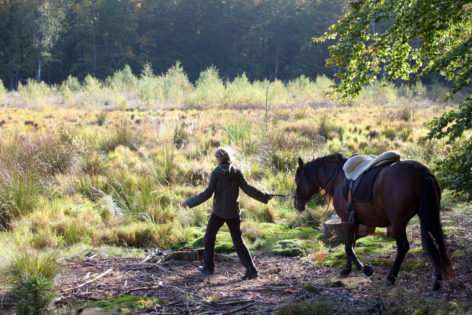 Hest og rytter