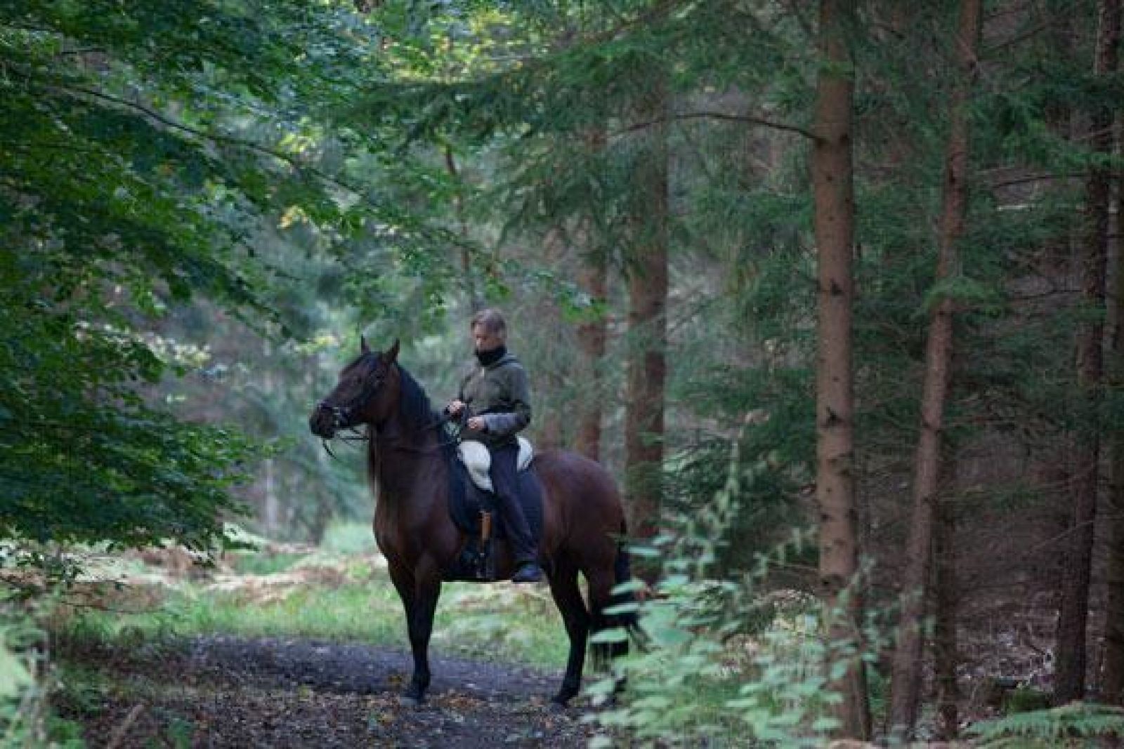 Ribe Plantage - Ridesti