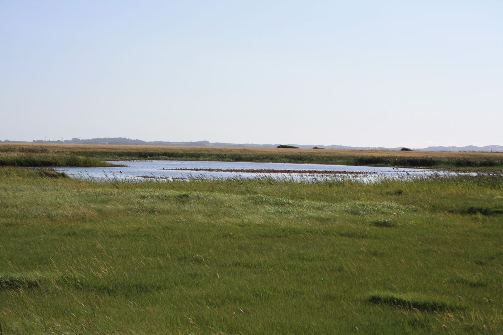 Natursti Oddesund Nord