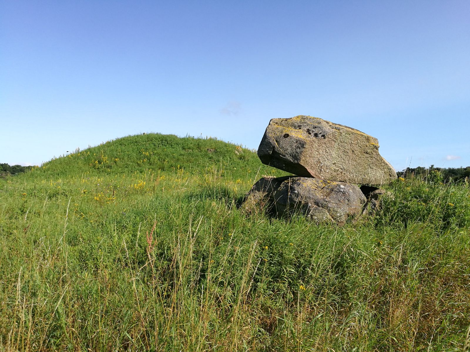Duereds Vænge. Fortidsminde. 