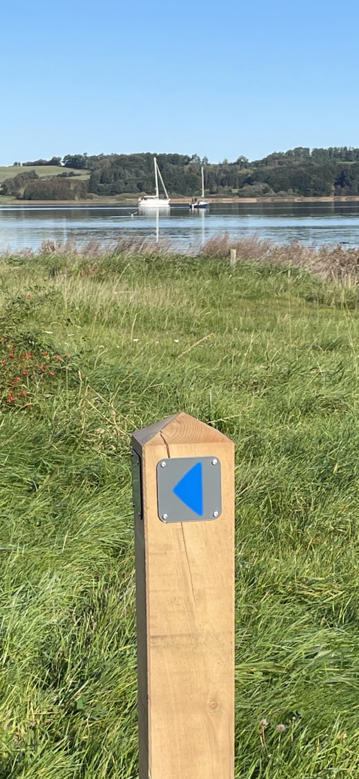 Afmærkningspæl med et piktogram som viser en blå pil pegende mod venstre.
