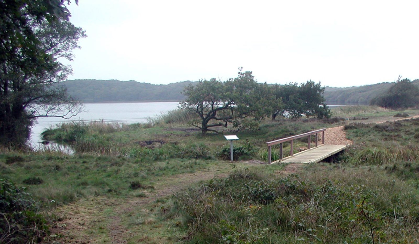 Bænk ved ådalstien