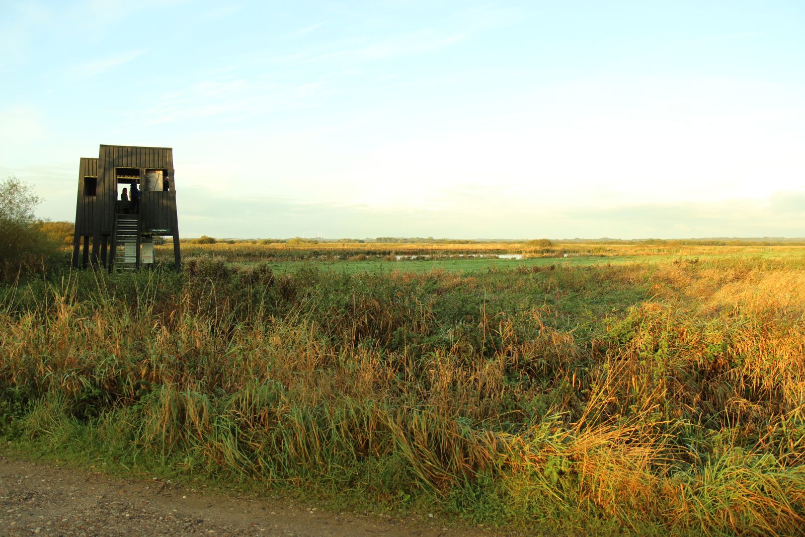 Fugletårn i Uldum Kær