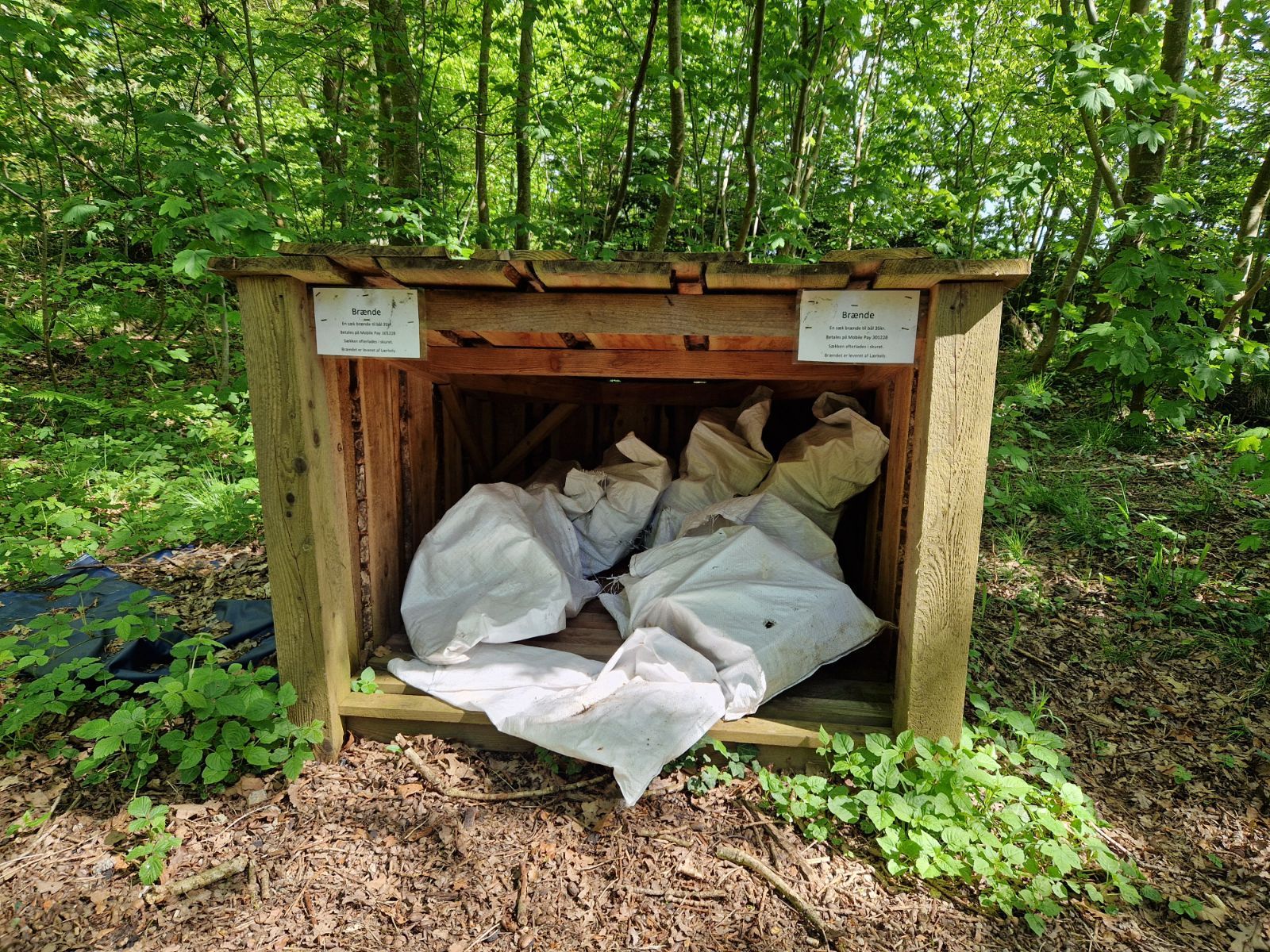 Møgeltønder shelterplads – miniature 5