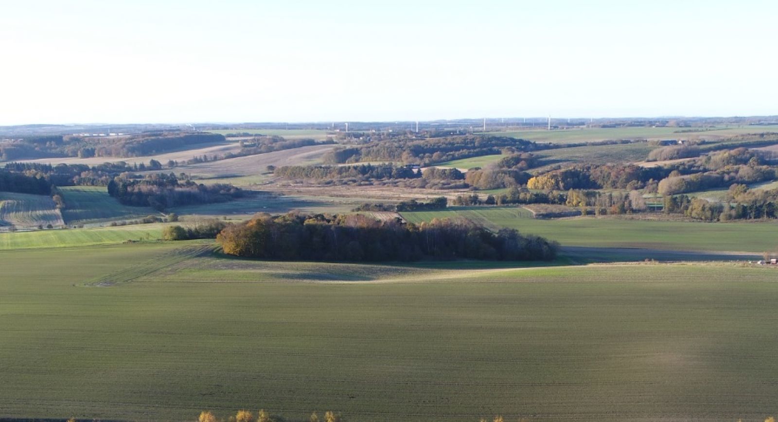 Dronefoto af området