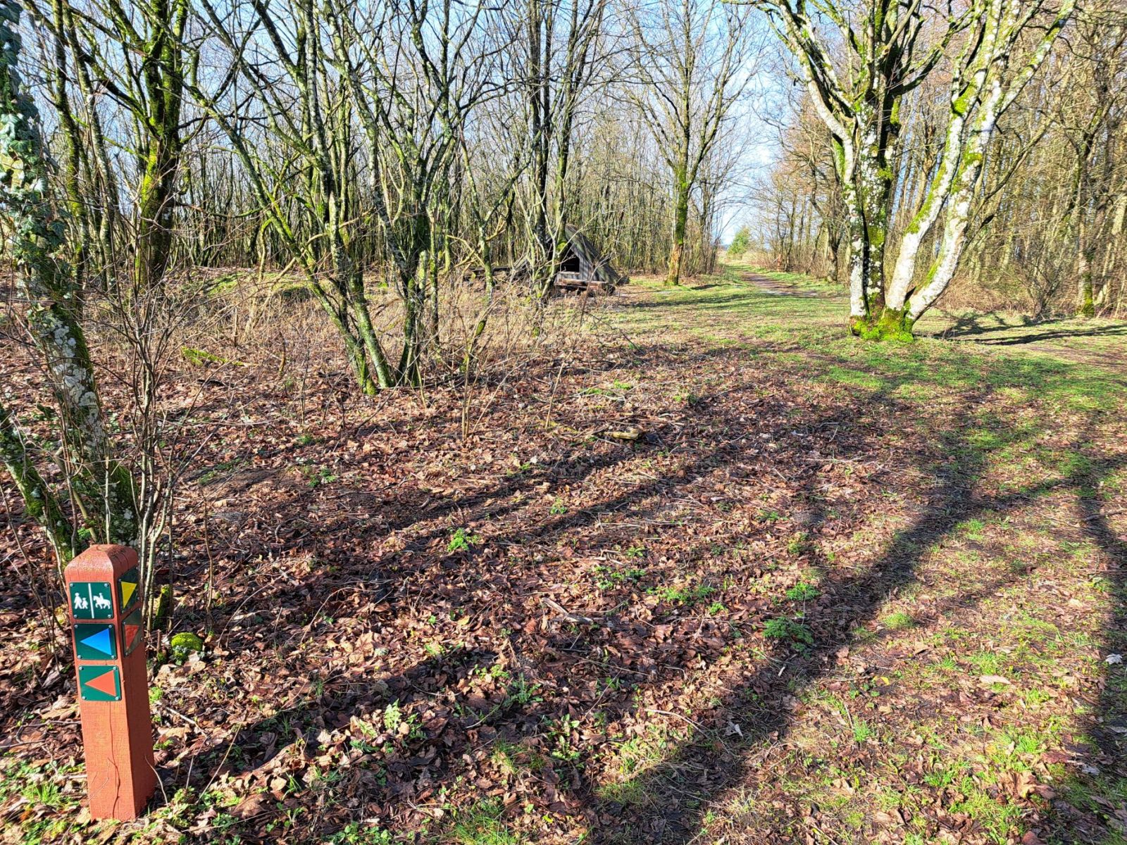 Ruteanvisning