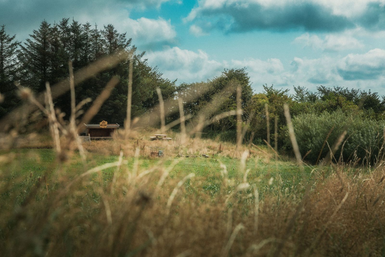 Østerskaarup Gård - Arla ØKO Shelter – miniature 4