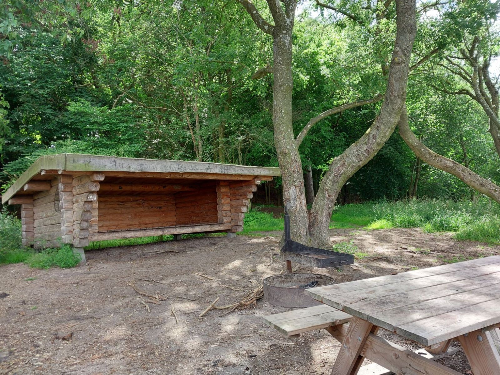 Skjoldunge shelteret, Boserup skov – miniature 5
