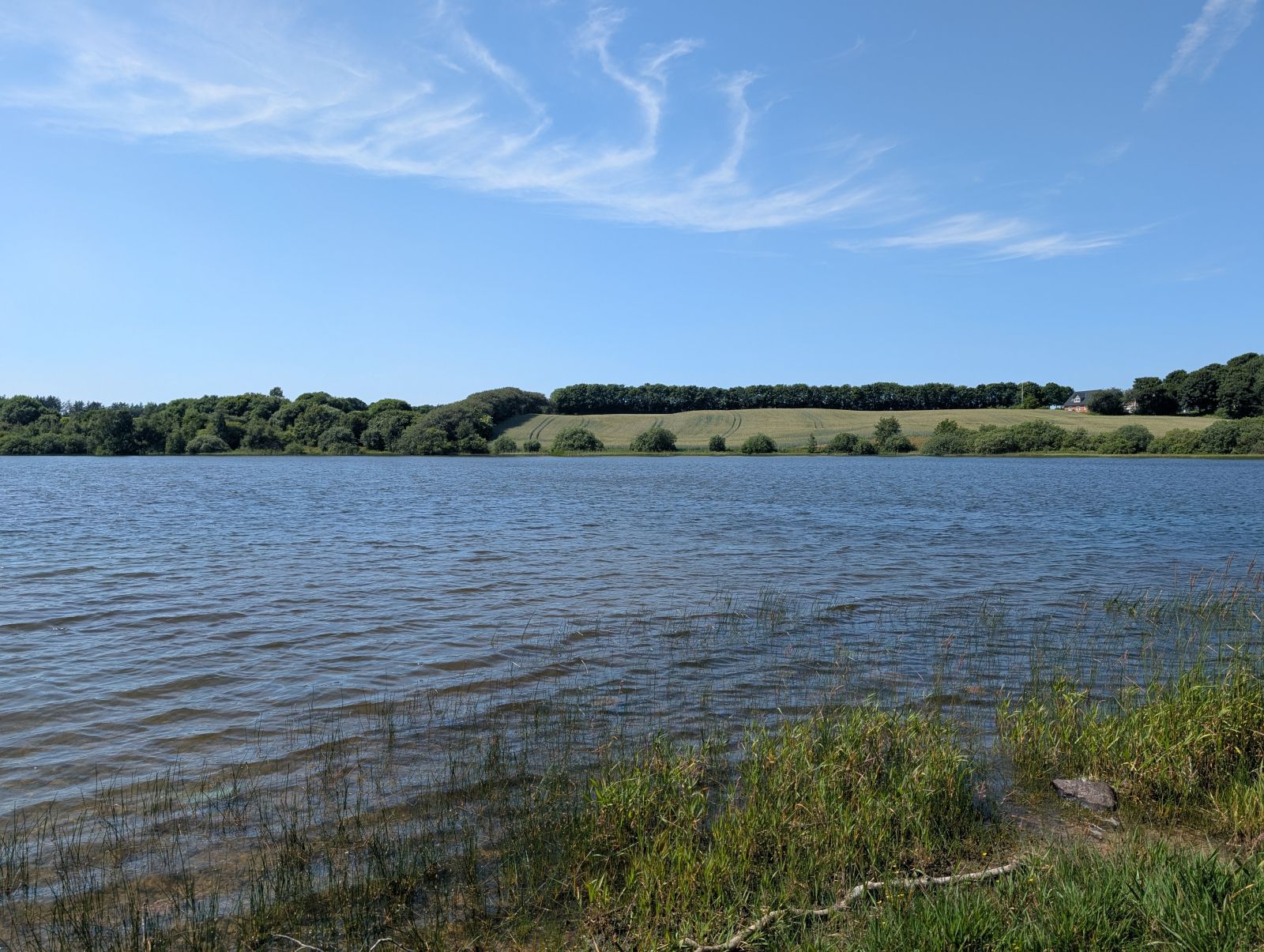 Udsigt fra søbredden er en blanding af åbne marker og bevoksning.