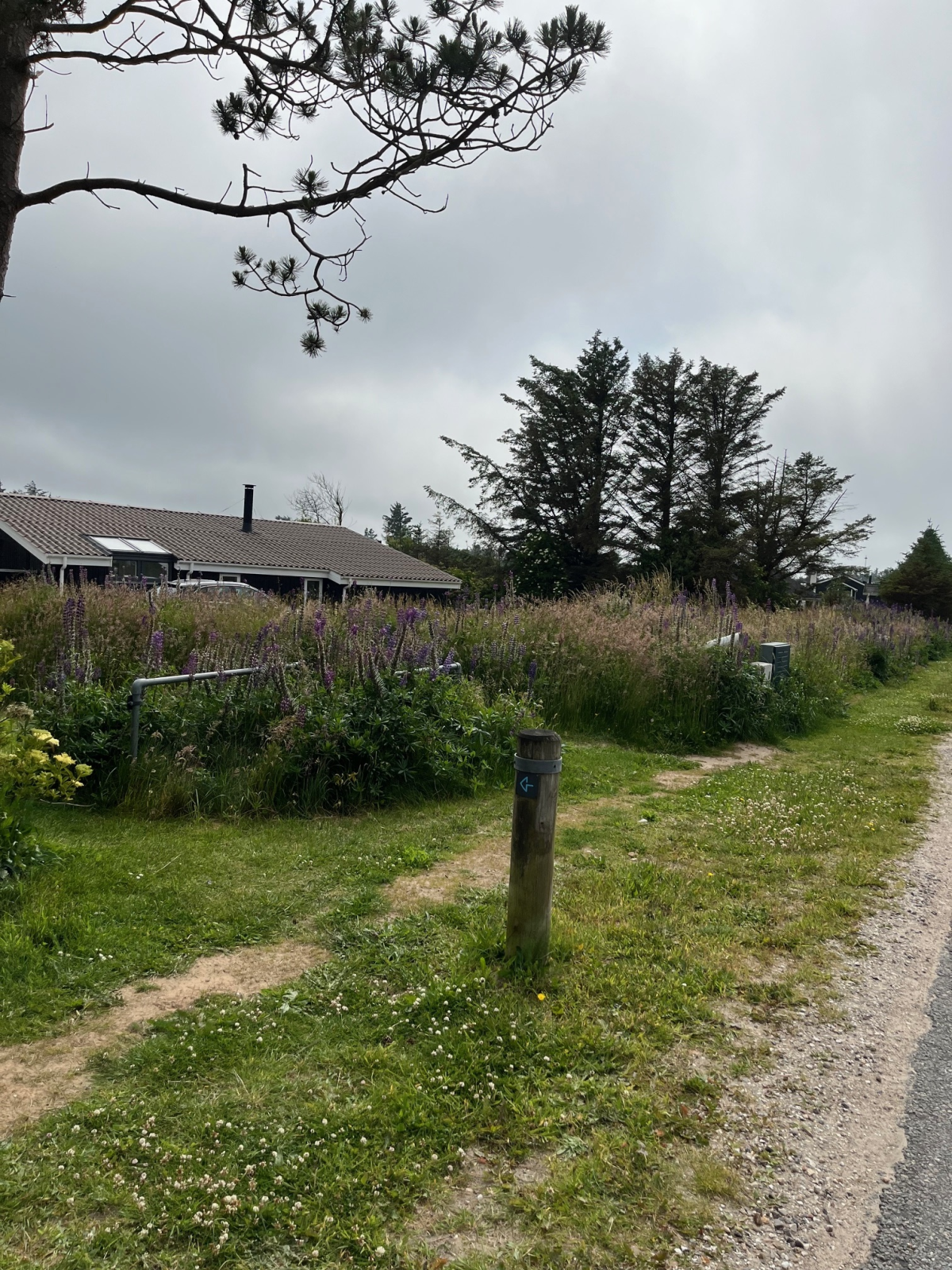 Udgangen/indgangen til Stenurtvej. Underlaget er grus. 