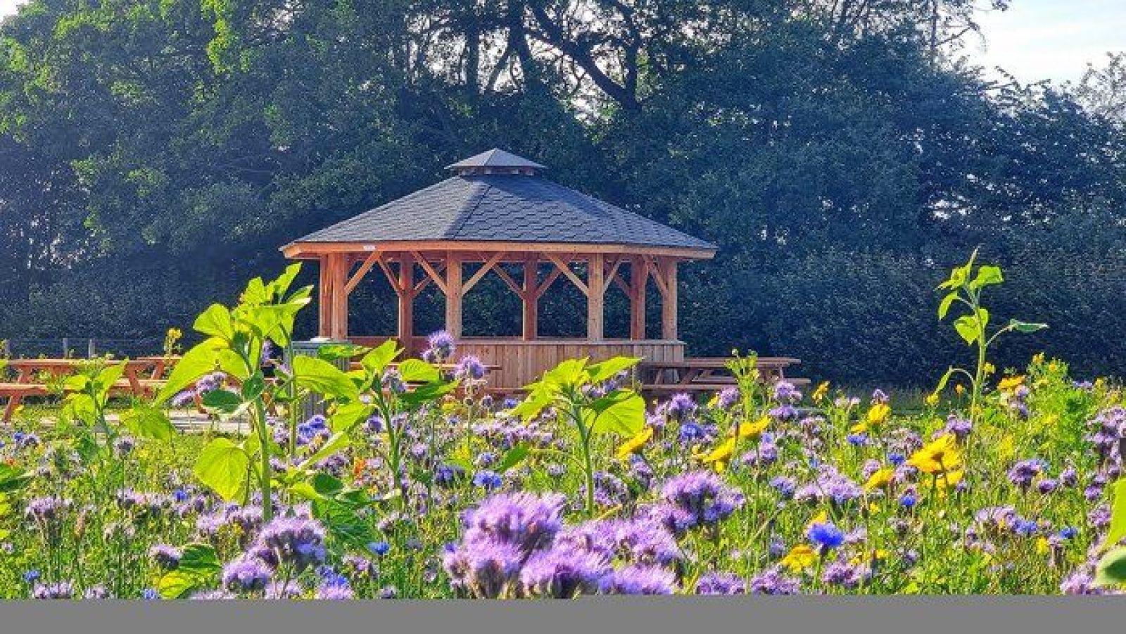 Moseby Bypark